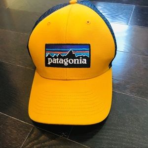 Patagonia Trucker Hat